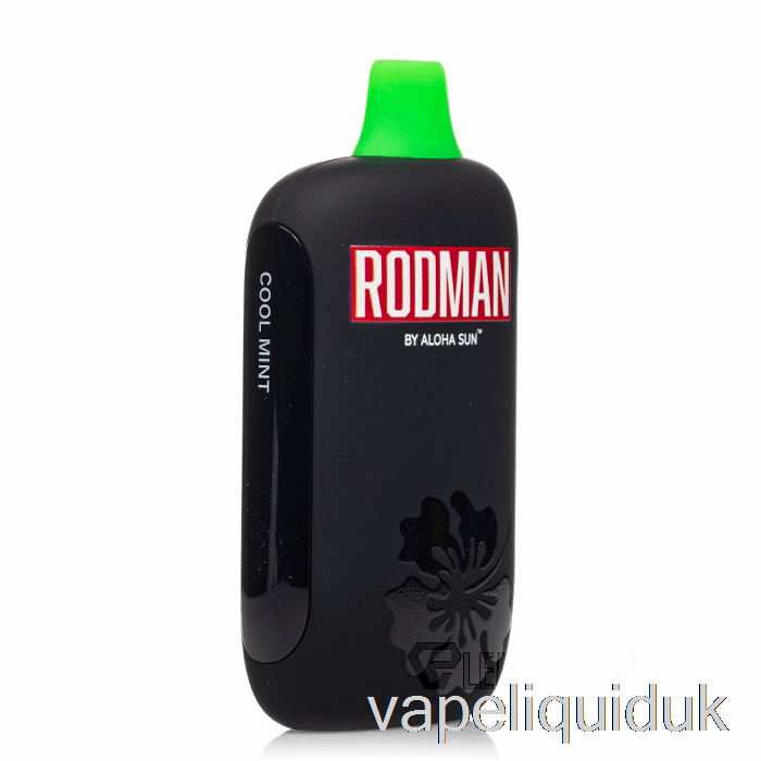 RODMAN 9100 Disposable Cool Mint Vape Liquid